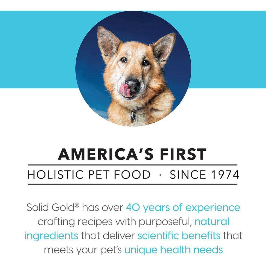 Beef Bone Broth with Turmeric Dog Food Topper X594364