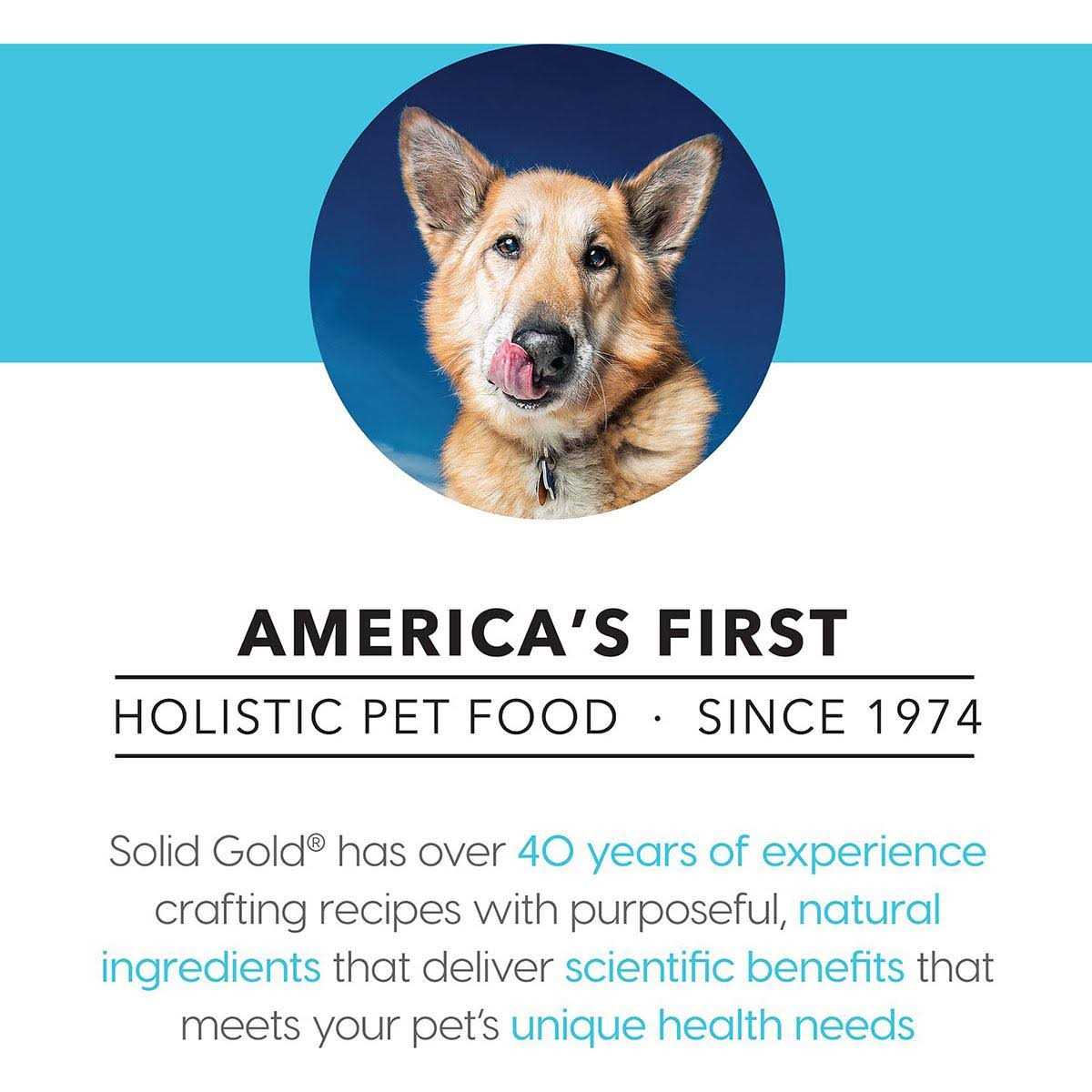 Beef Bone Broth with Turmeric Dog Food Topper X594364
