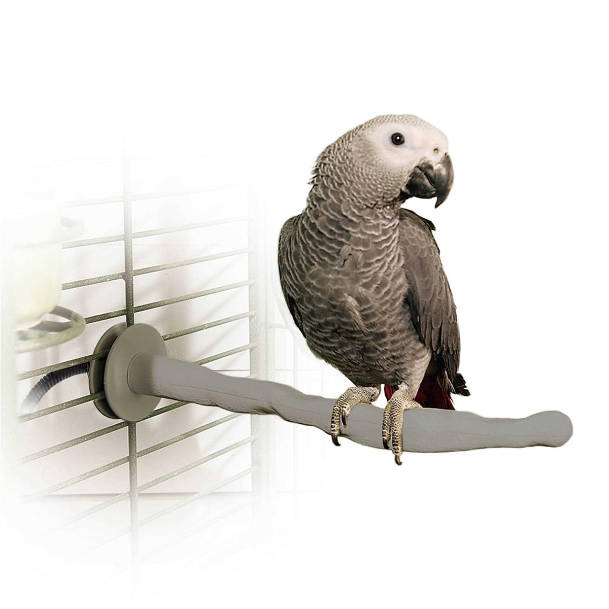 Bird Thermo-Perch I4967