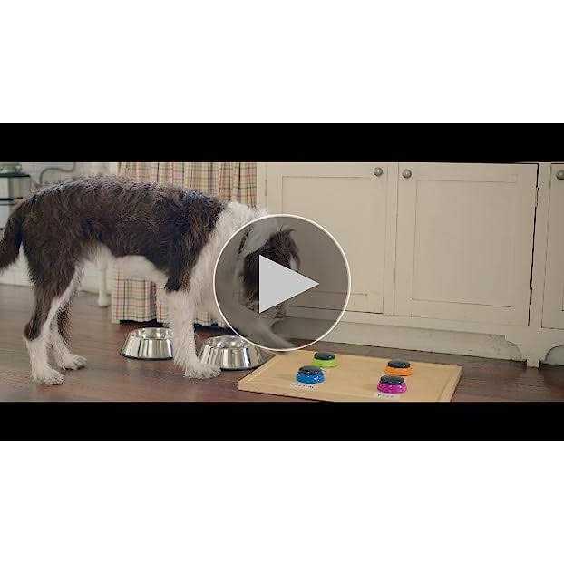 Dry Dog Food Real Chicken & Veggies Recipe A5876