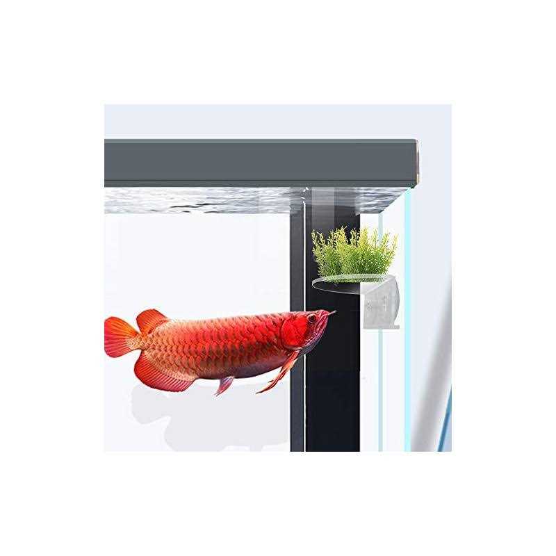 Transparent Acrylic Aquarium Shelf with Suction Cups H978279