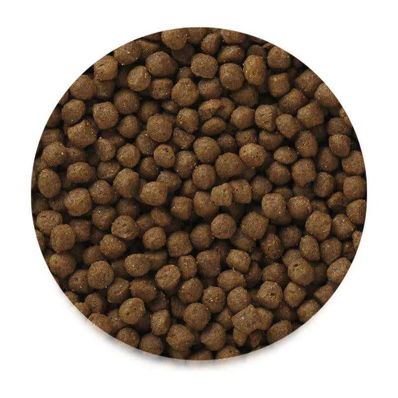 High Energy Adult Mini Chunk Dry Dog Food X722438