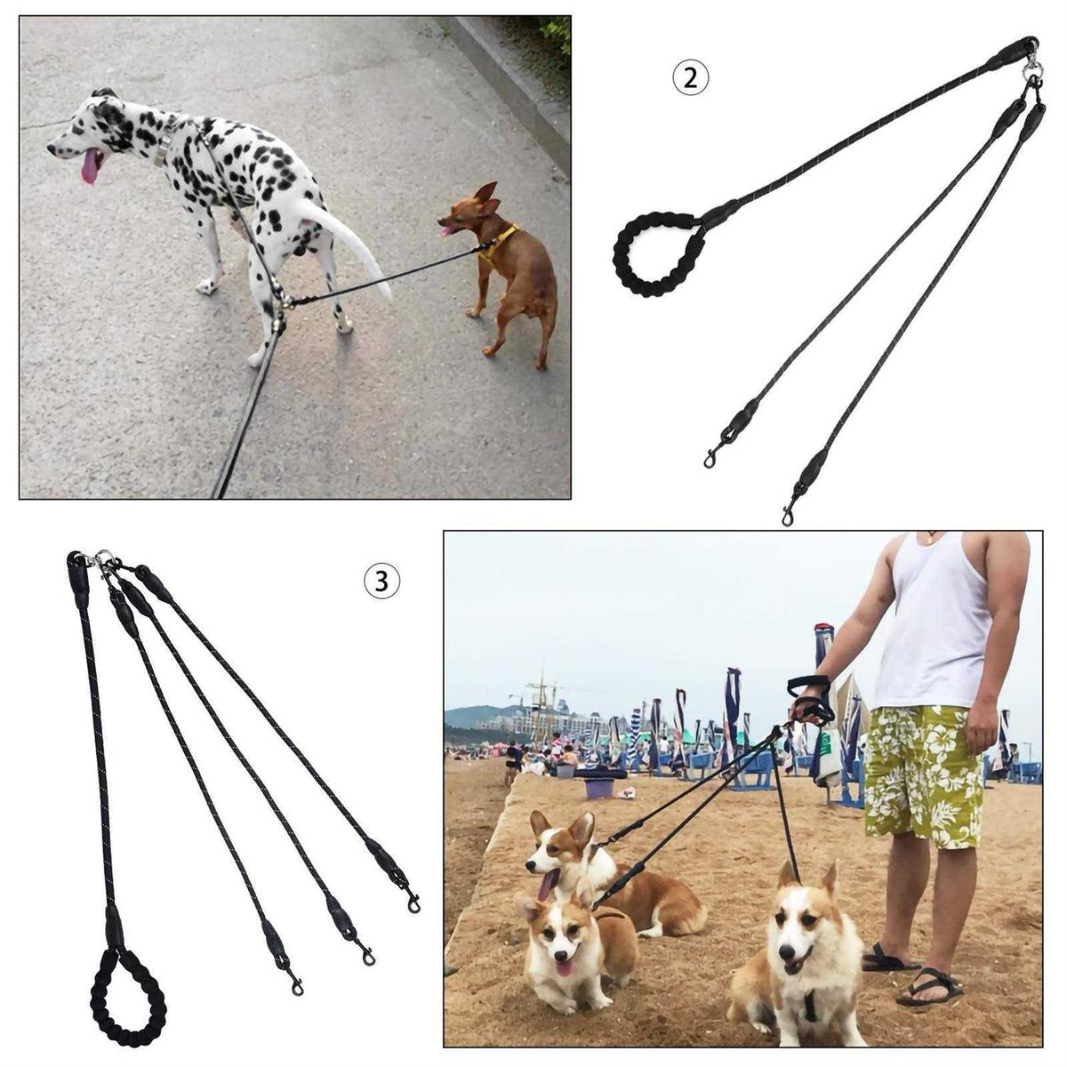No Tangle Nylon Dog Leash V2081