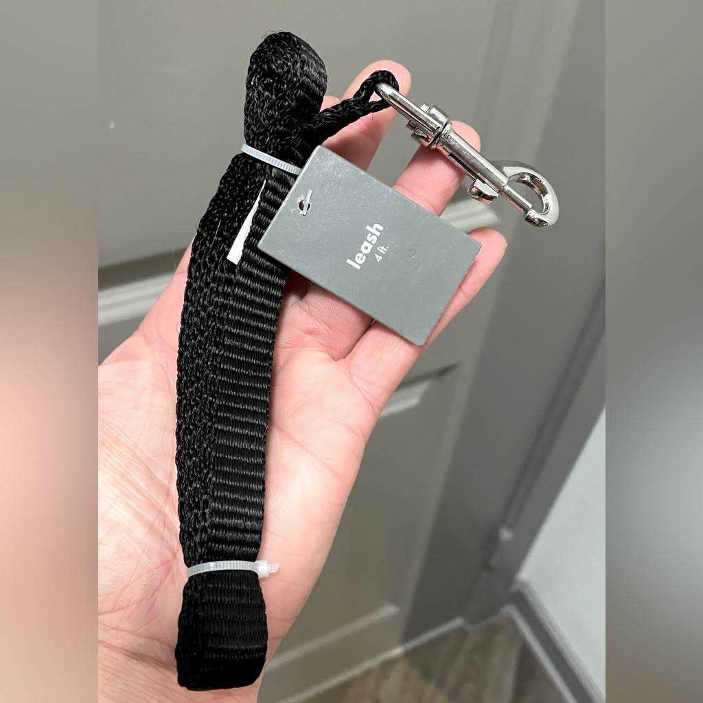 4′ Metal Dog Leash P84936
