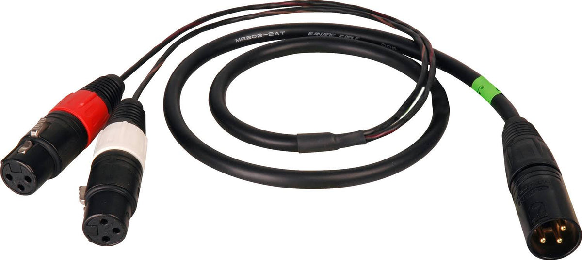 XLR Male to 2 XLR Female Cable D793
