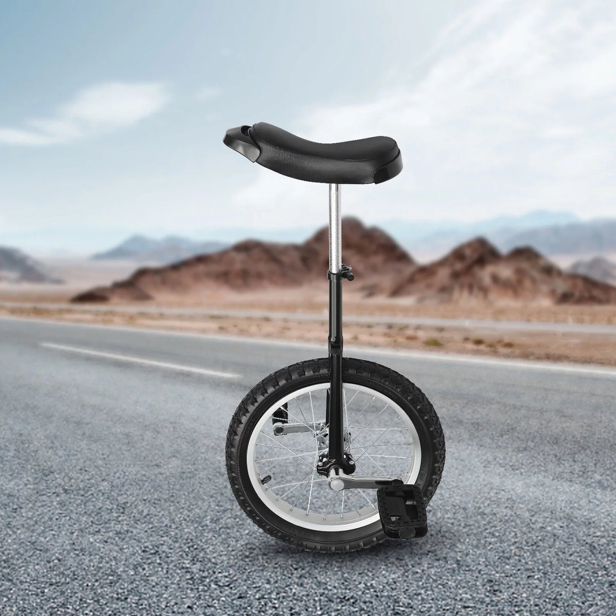 16 Wheel Adjustable Unicycle V9796