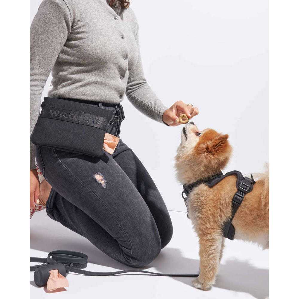Cotton Dog Treat Pouch L99301