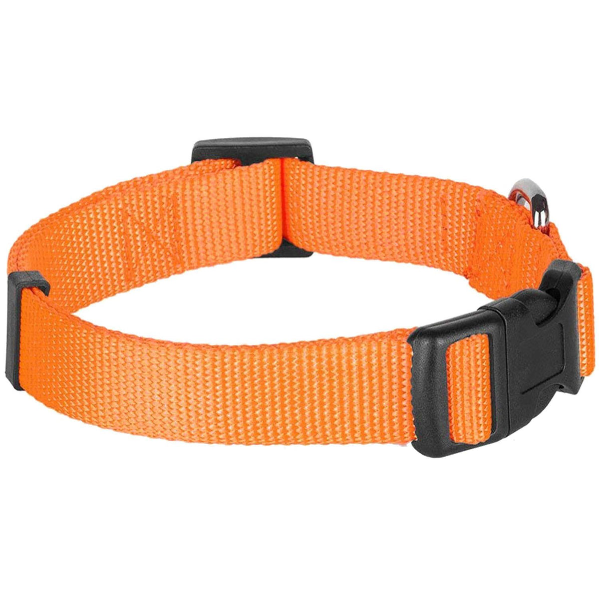 Classic Dog Collar W9341