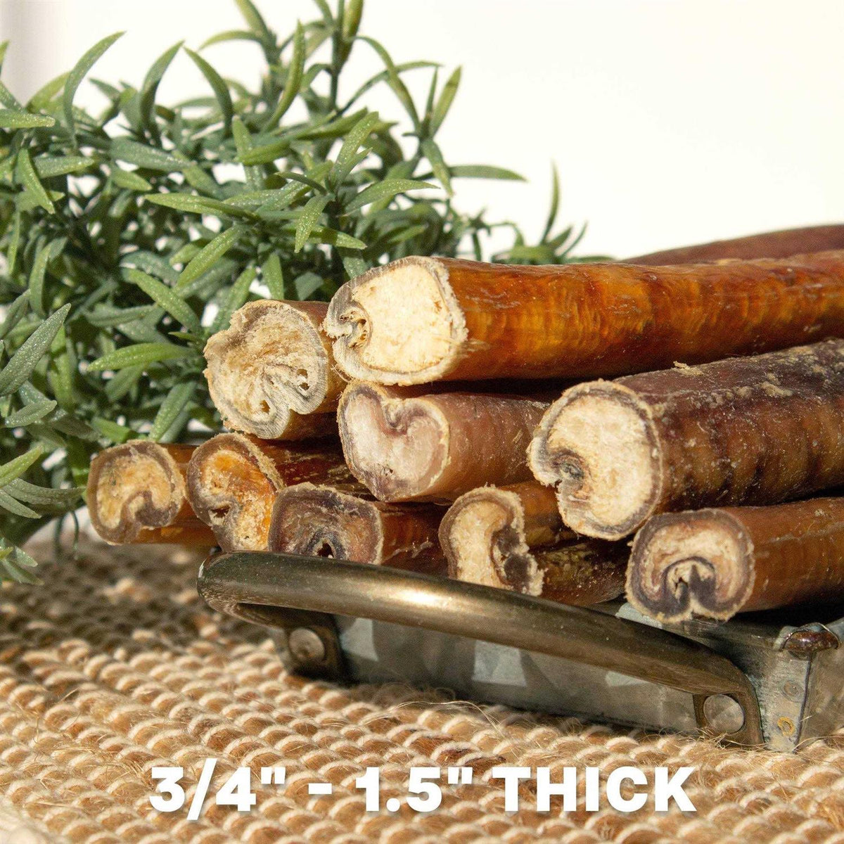 Bully Sticks Dog Chews B567