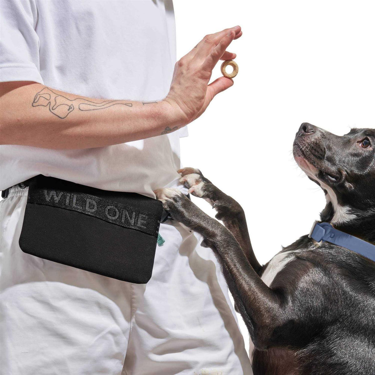 Cotton Dog Treat Pouch L99301