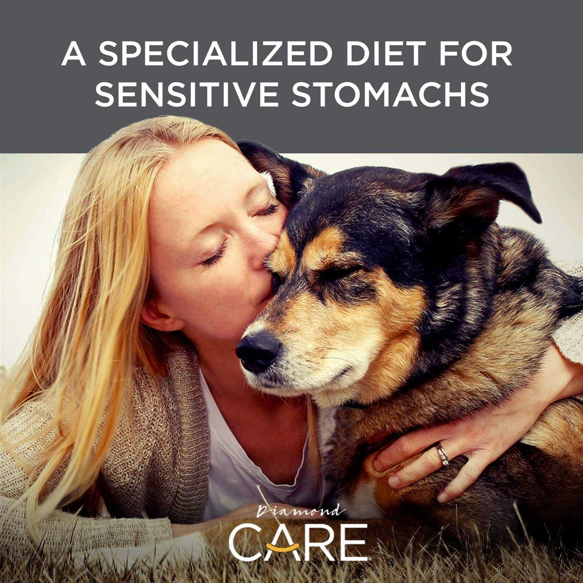 Sensitive Stomach Adult Dry Dog Food L9936