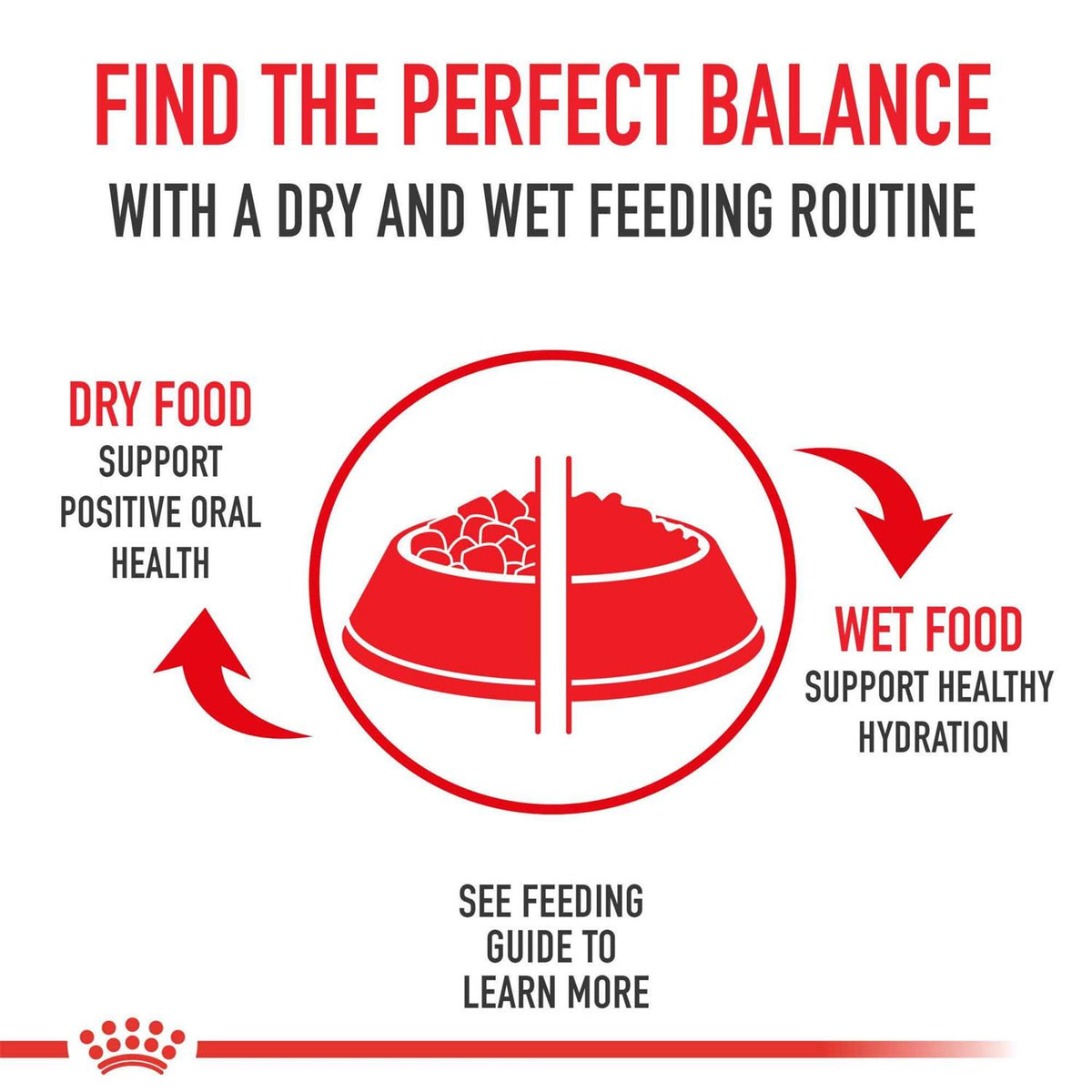 Adult Dry Dog Food O481