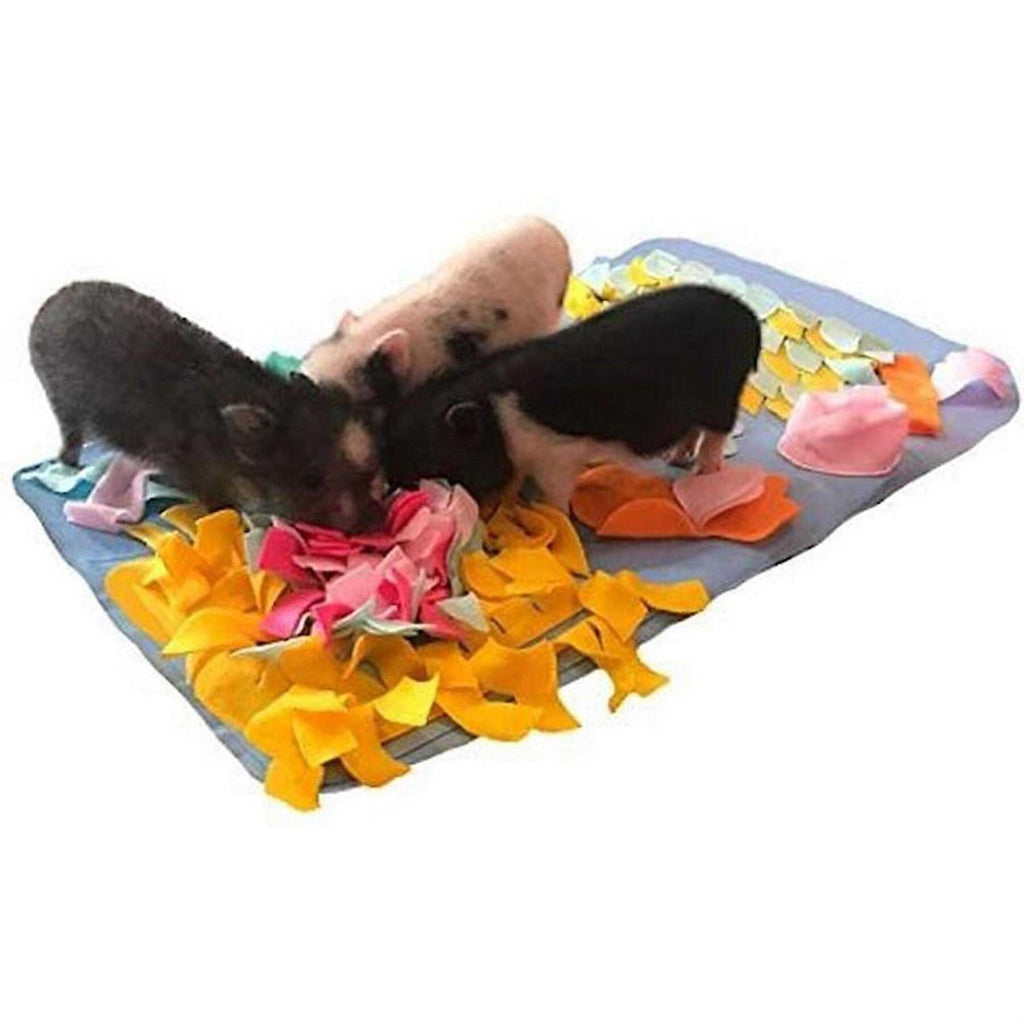 Snuffle Mat S4177