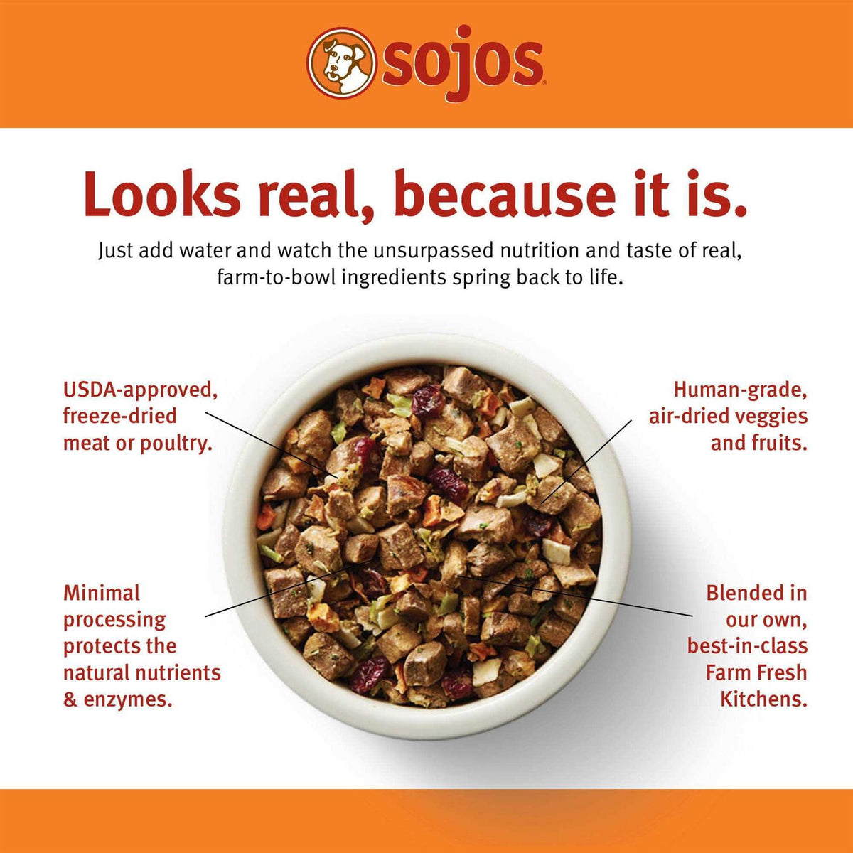 Grain-Free Turkey & Salmon Recipe Freeze Dried Dog Food X361