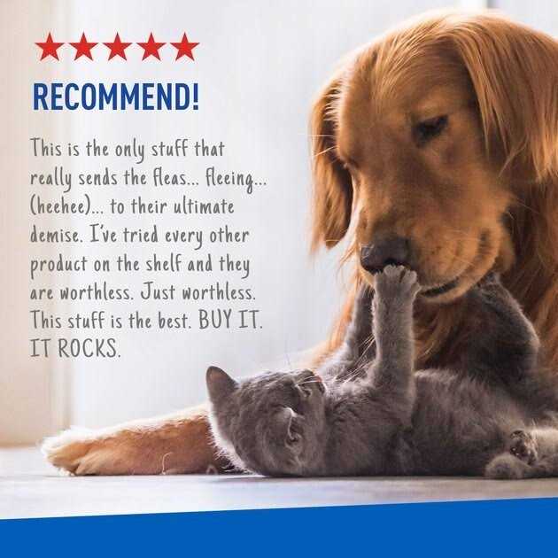 Flea Tick Spray M2970