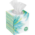 White 2-Ply Facial Tissue, 65 Sheets/Box, 27 Boxes/Carton U148