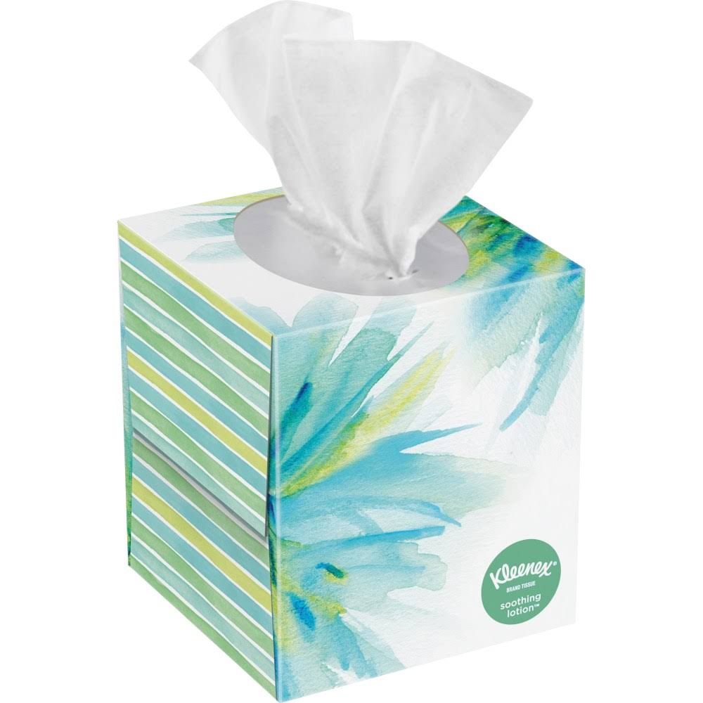 White 2-Ply Facial Tissue, 65 Sheets/Box, 27 Boxes/Carton U148