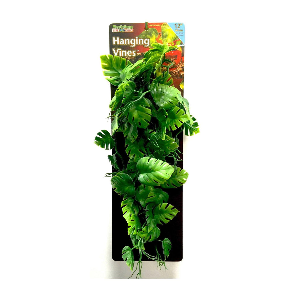 Climber Vine X4242