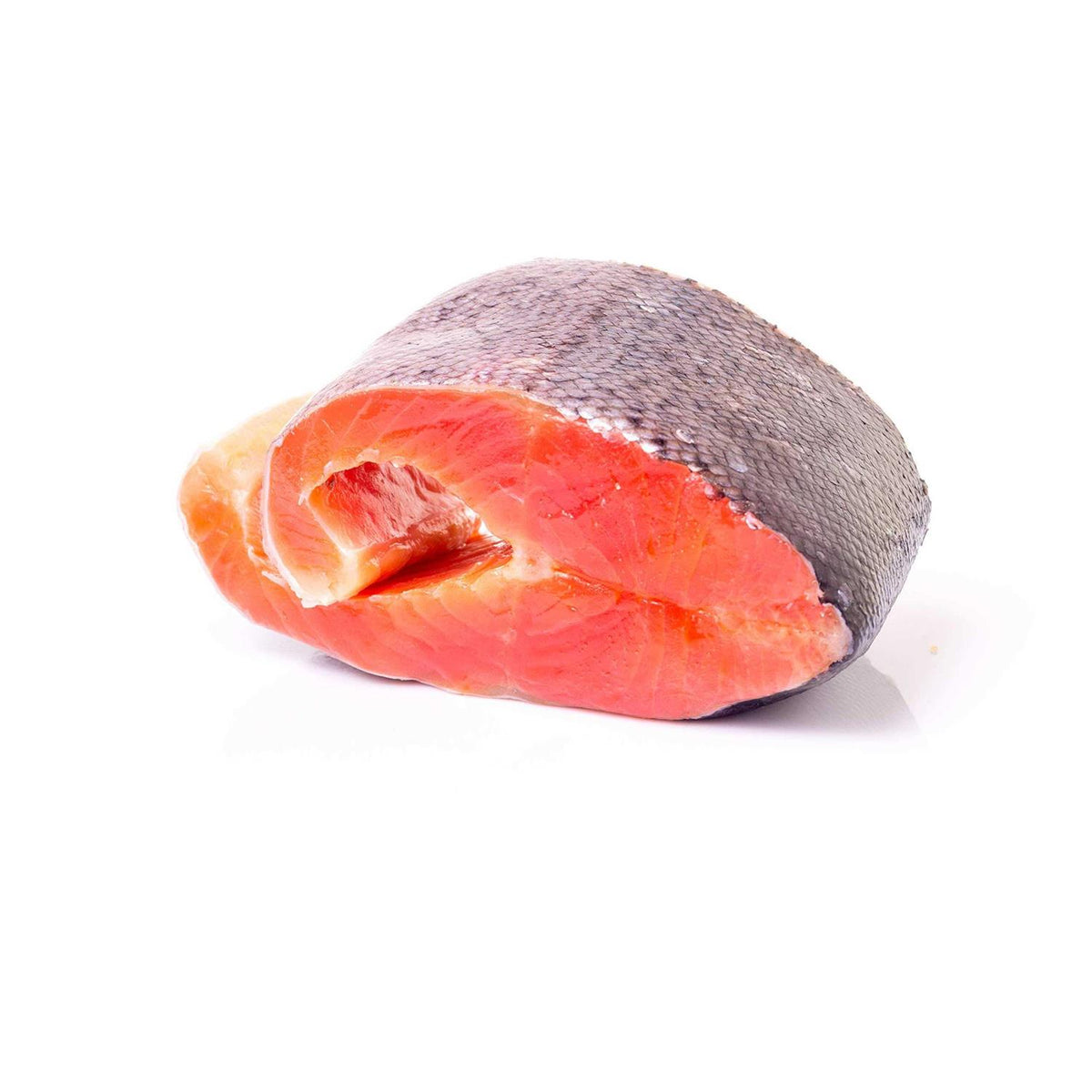 Salmon Dog Treats Y771643