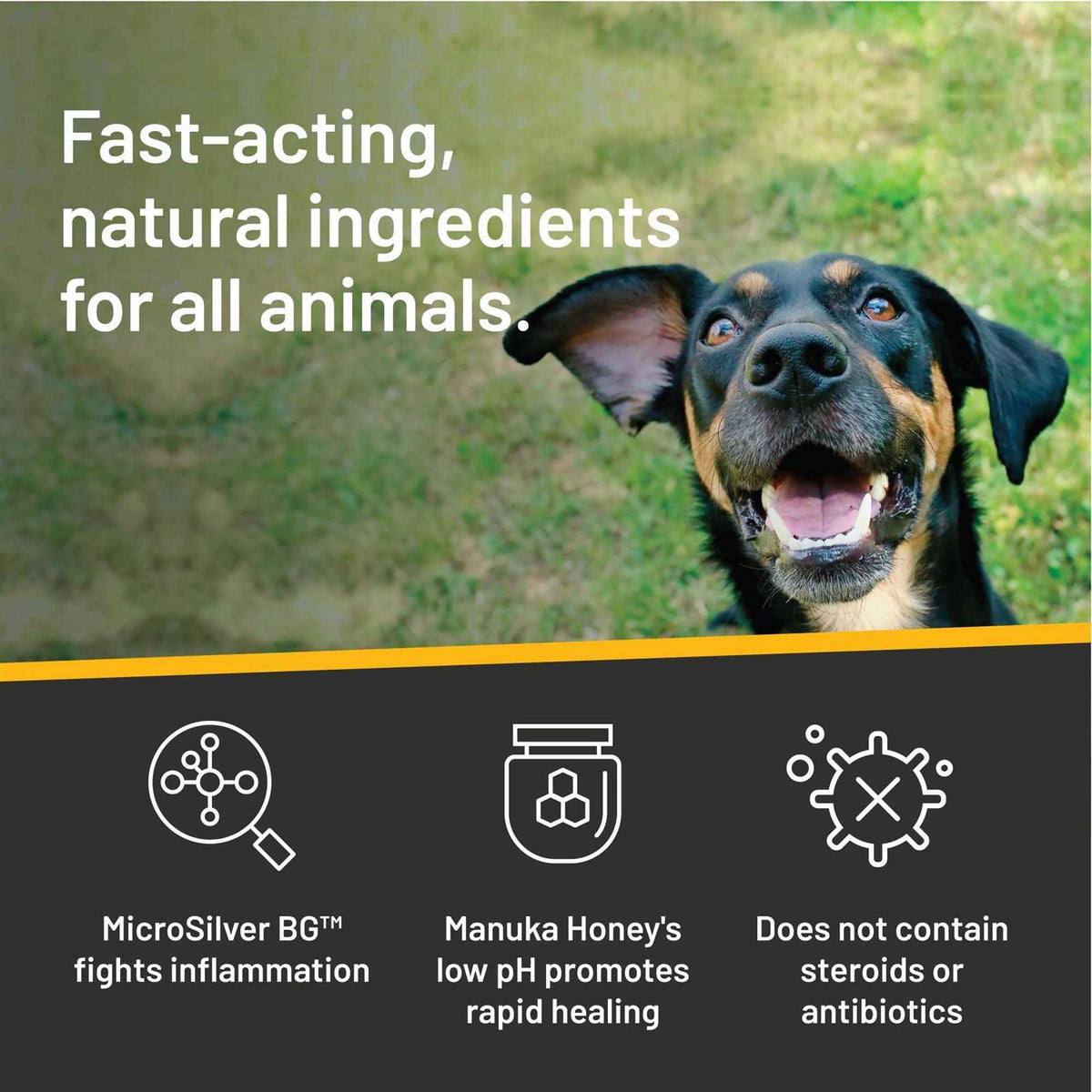 Vet Strength Ear Rinse H654440