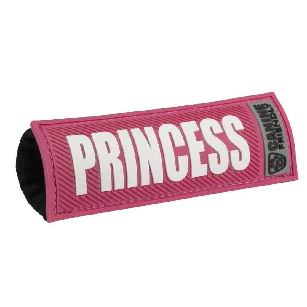 Dog Collar and Leash J811