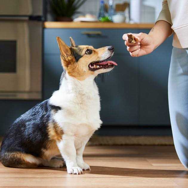 All-Natural Beef Lung Filets Dehydrated Dog Treats E586