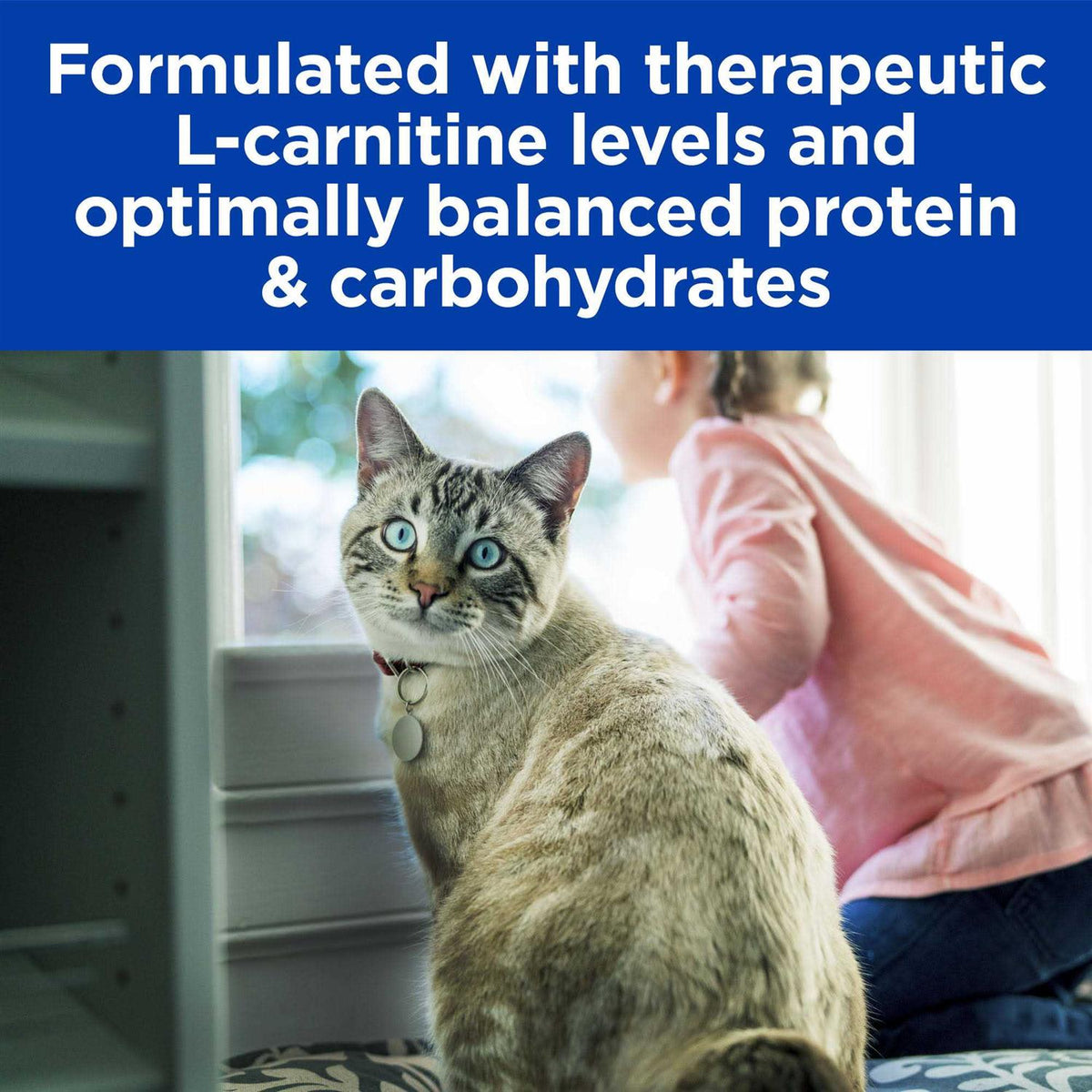 Glucose/Weight Management Cat Dry Food N158