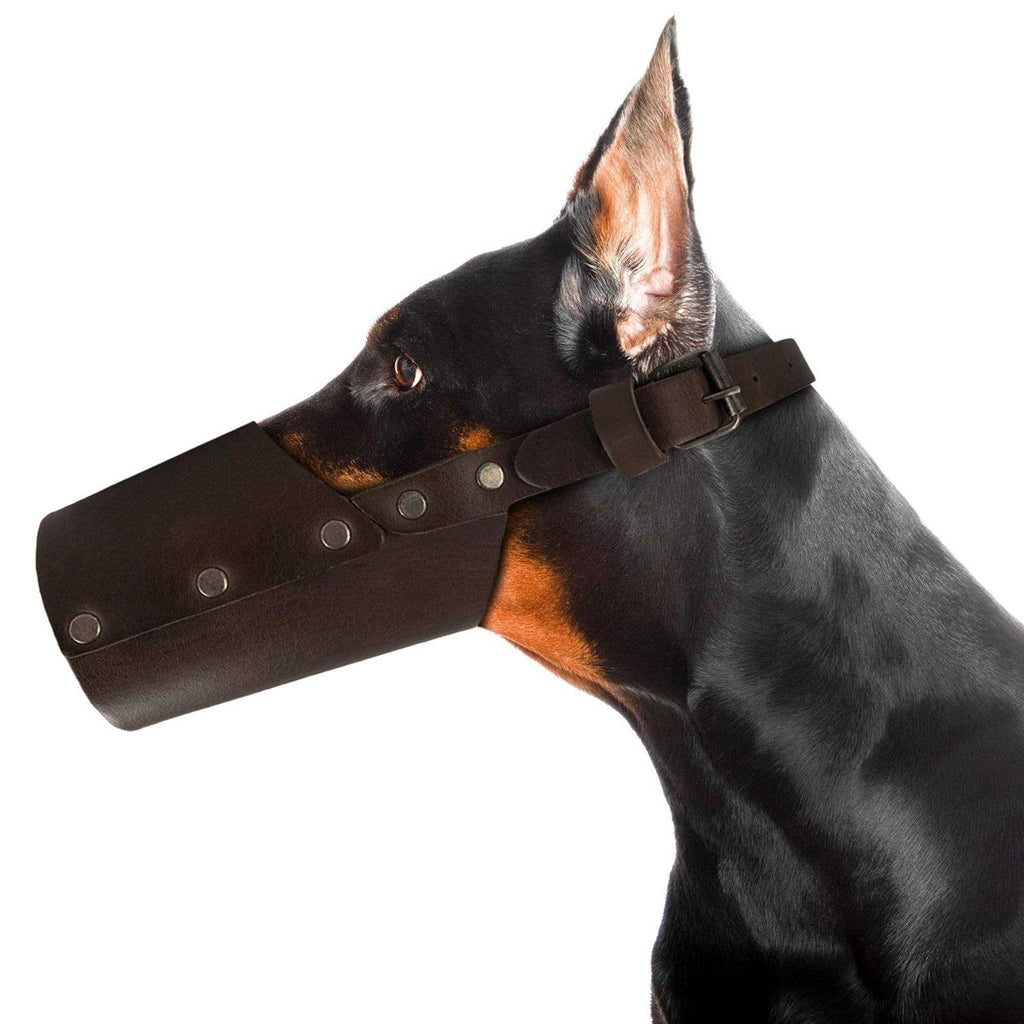 Leather Dog Muzzle T270533