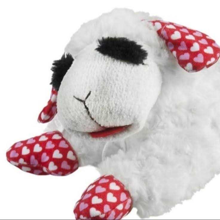 Valentine's Day Dog Toy Z5662