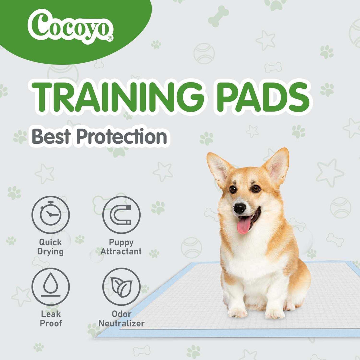 Training Pads T121175