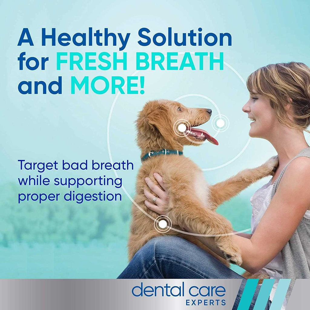 VeggieDent Tartar Control Chews for Dogs V269