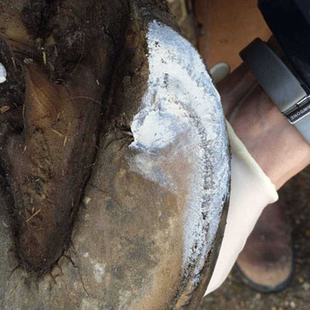 Hoof Clay 750g M70891