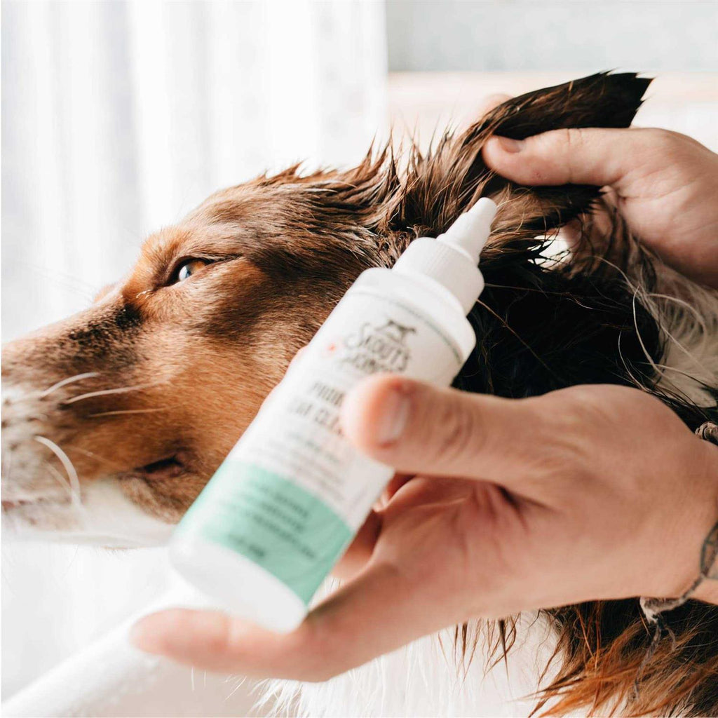 Probiotic Ear Cleaner B9548
