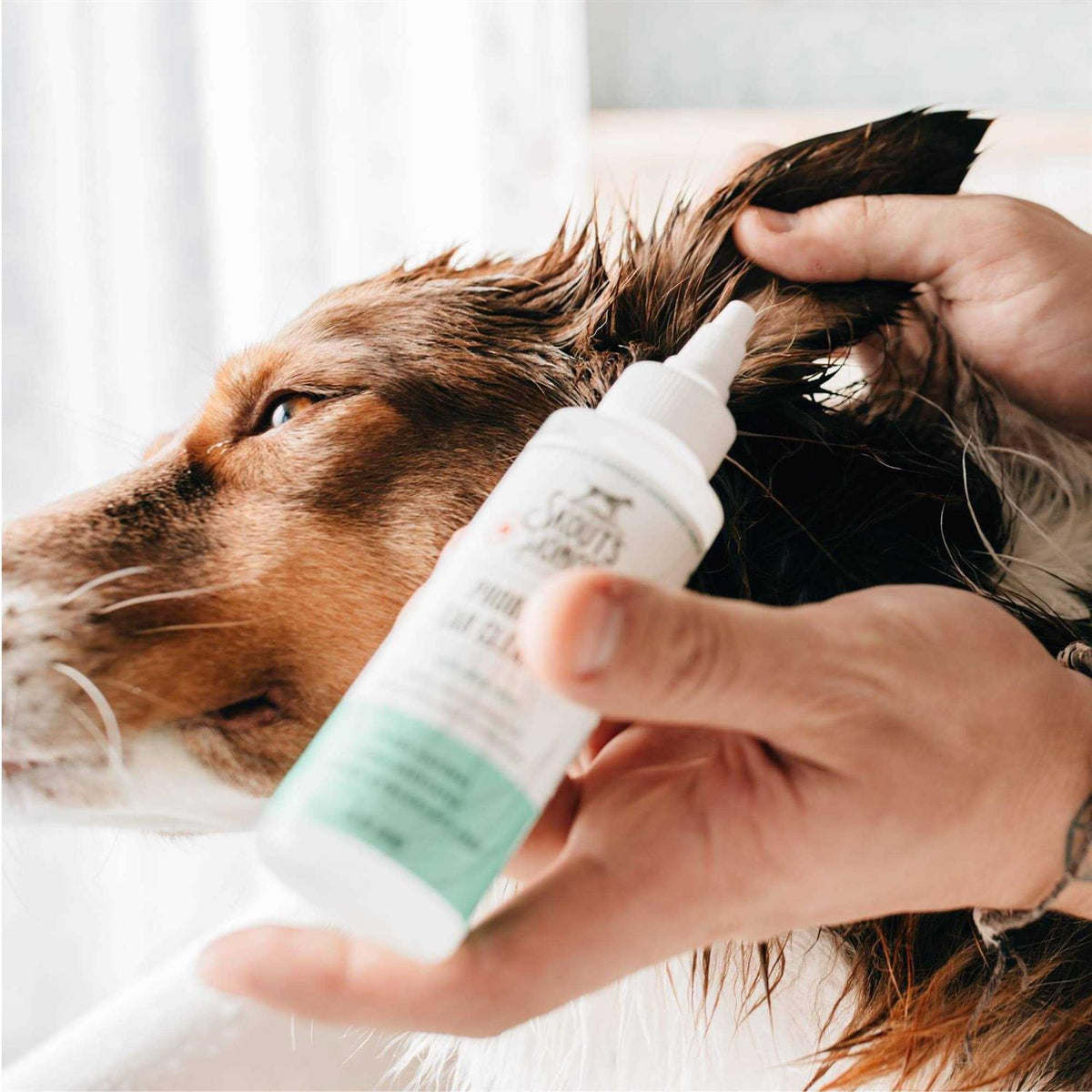 Probiotic Ear Cleaner B9548