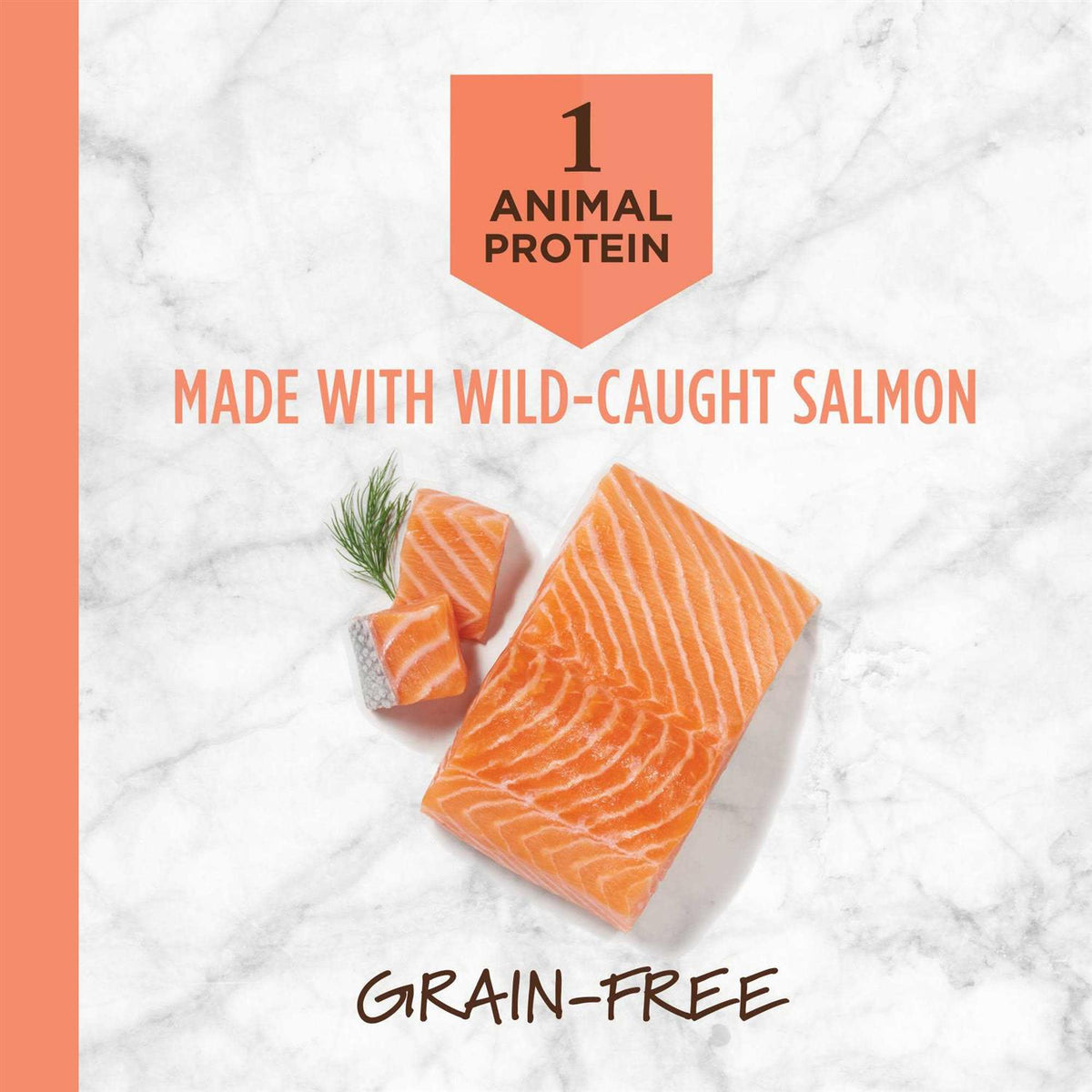 Limited Ingredient Grain-Free Salmon Dry Dog Food D764