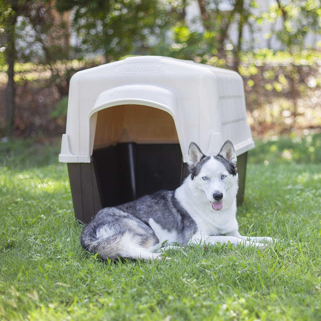 Dog House O87938