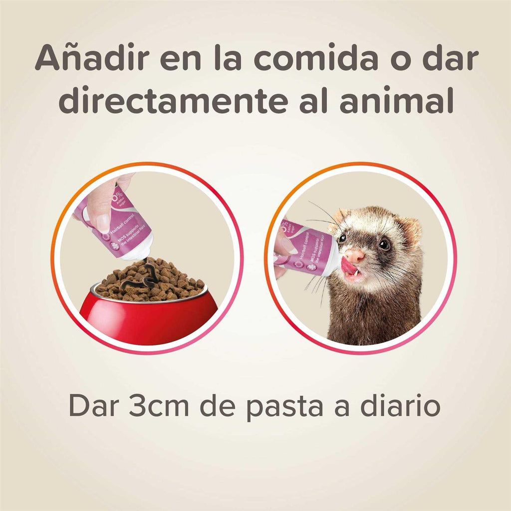 Malt Paste T13968