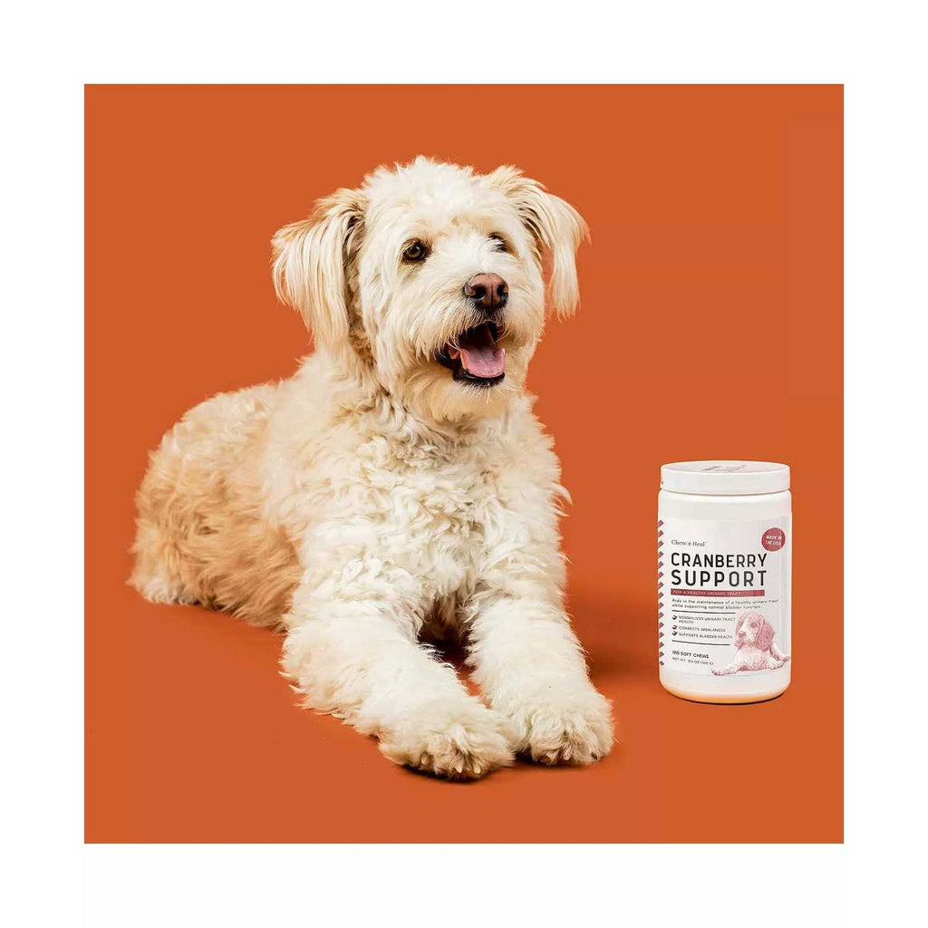 Cranberry Chews for Dogs G934576