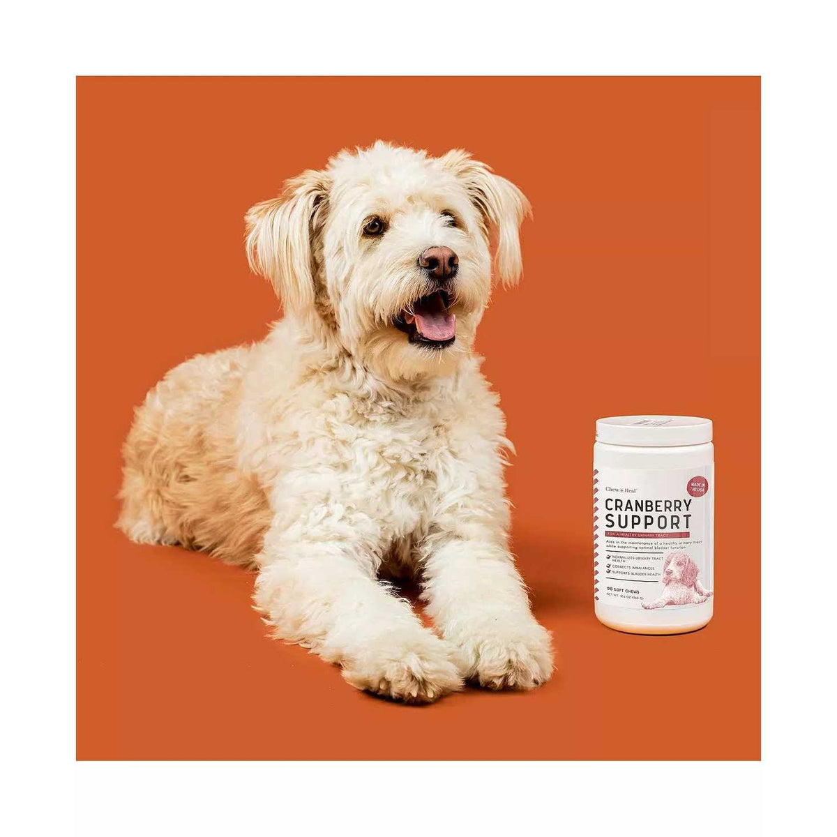 Cranberry Chews for Dogs G934576