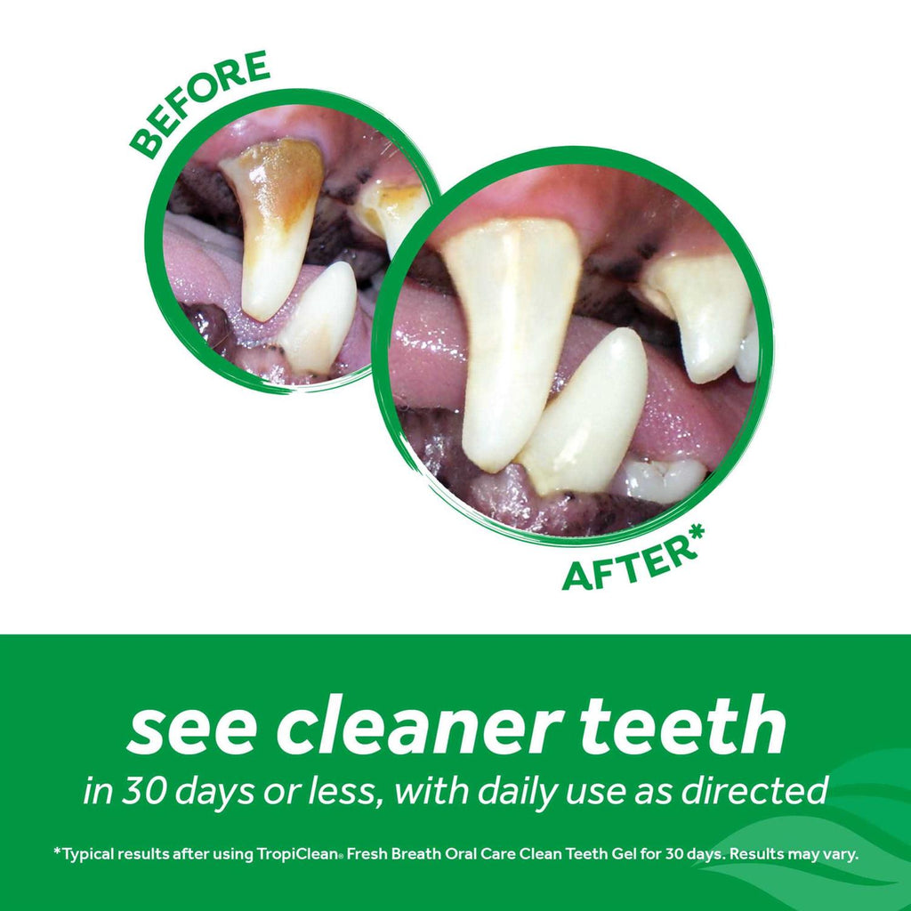Clean Teeth Oral Care Gel R23844