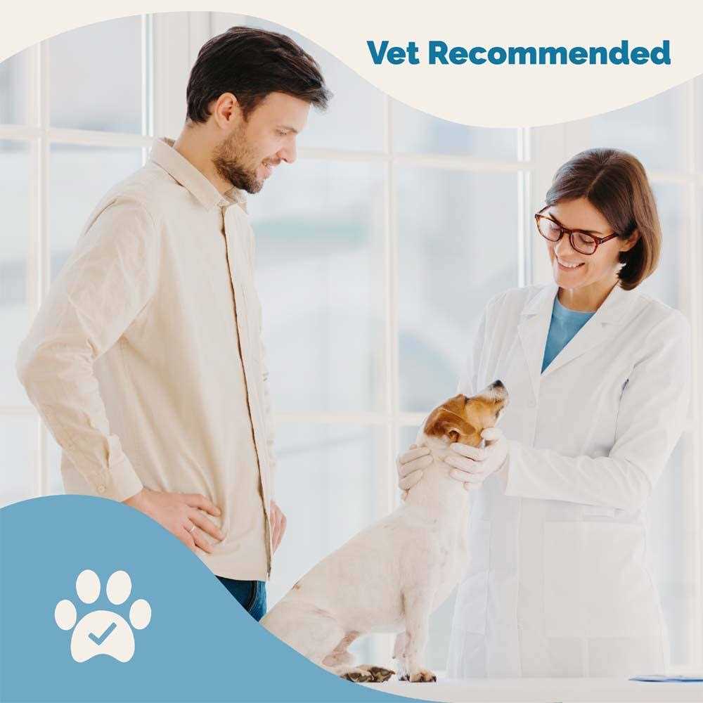 Lignans & Melatonin Blend Medicine for Dogs U912