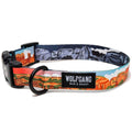 Dog Collar C5832