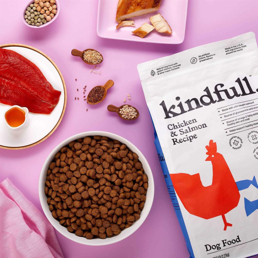 Chicken and Salmon Recipe Dry Dog Food V186