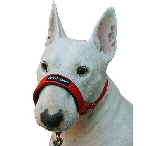 Dog Head Collar Halter B8181