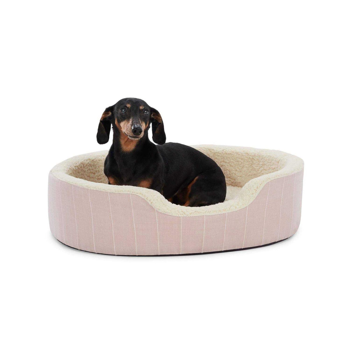 Striped Dog Bed Q639