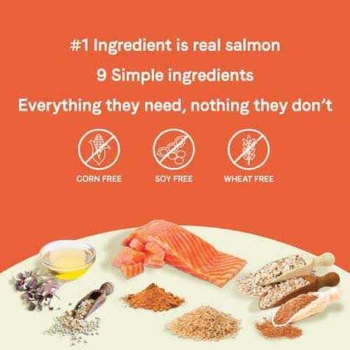 Salmon & Oatmeal Dry Dog Food A7166