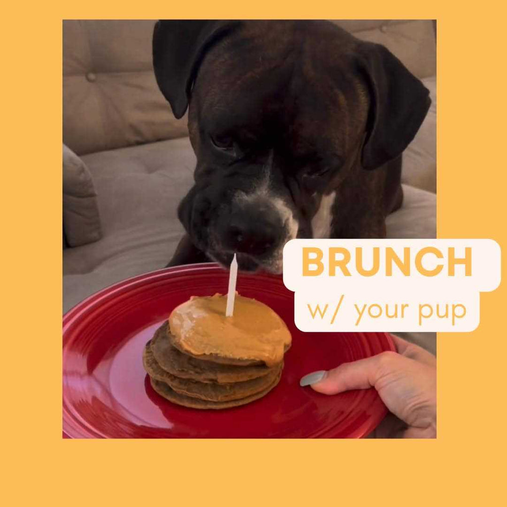 Pooch Pancakes L705324