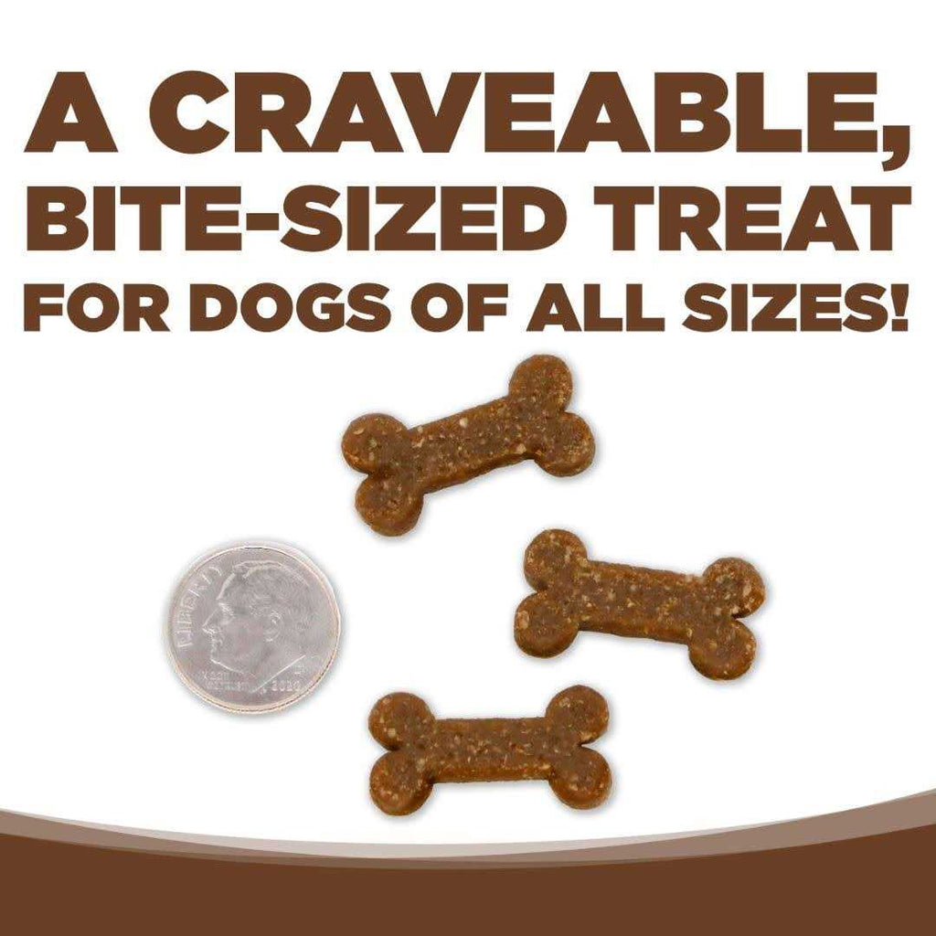 Dog Treats 6 oz H38753