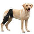 Dog Knee Brace with Cruciate Ligament X569081