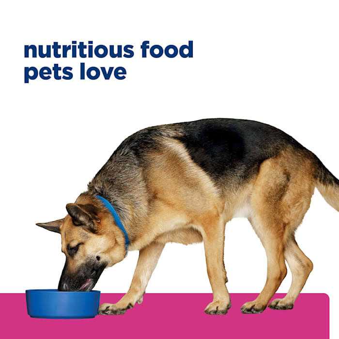 Chicken Dry Dog Food B9795
